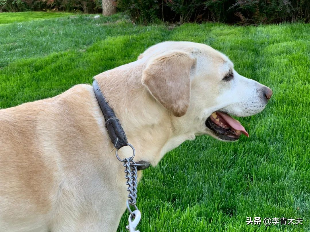 麦扣的家庭,麦扣的质感好物