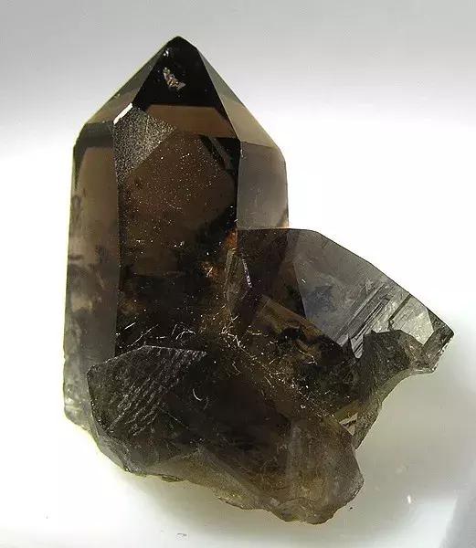 快来围观石英家族，颜值爆表