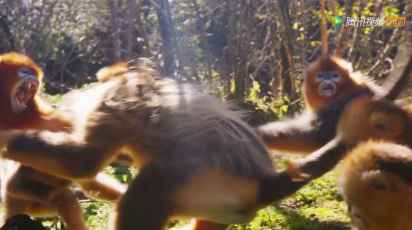 被吹爆的神片,被吹上天的神作