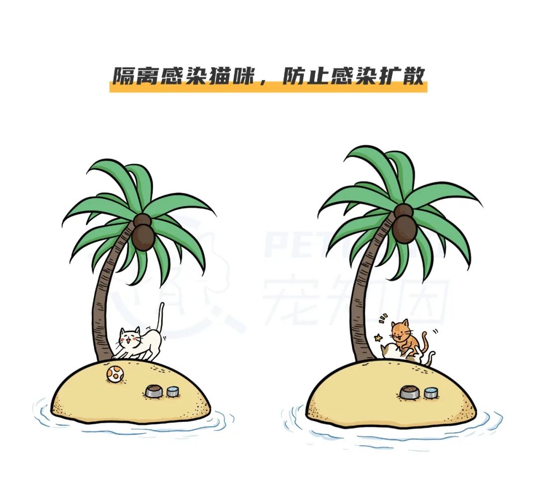 猫感染疱疹咳嗽,猫有眼屎打喷嚏怎么回事