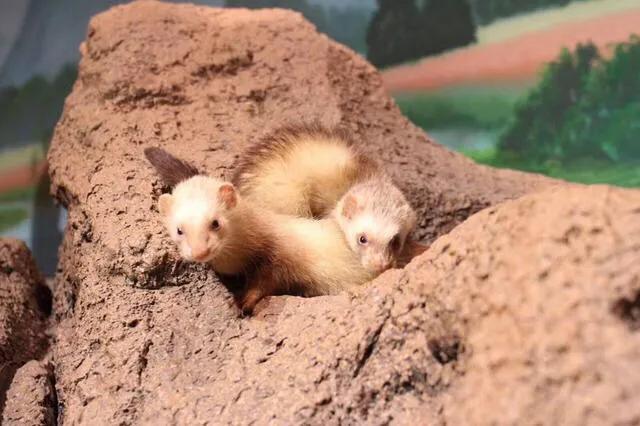 深圳十大暑假室内必去景点,深圳暑假值得带孩子旅游的地方