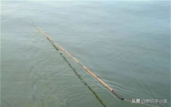 新手用无刺钩还是用有刺钩,新手用无刺钩