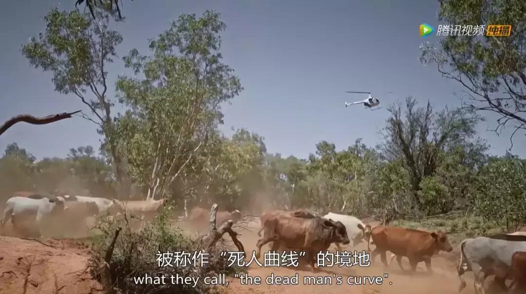 人在逆境要懂得坚持,面对逆境向阳而生