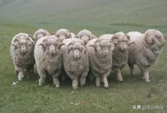 上榜啦！*疆新**鸟市和石市即将被国家命名！未来发展不可估量