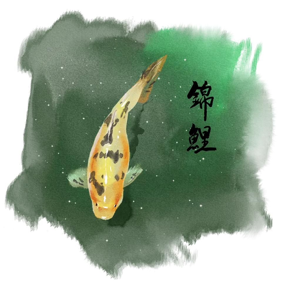 锦鲤怎么和人沟通感情,怎样和锦鲤建立好关系