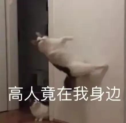 住院要10000多，在家治不到300，治黄疸你选哪个？