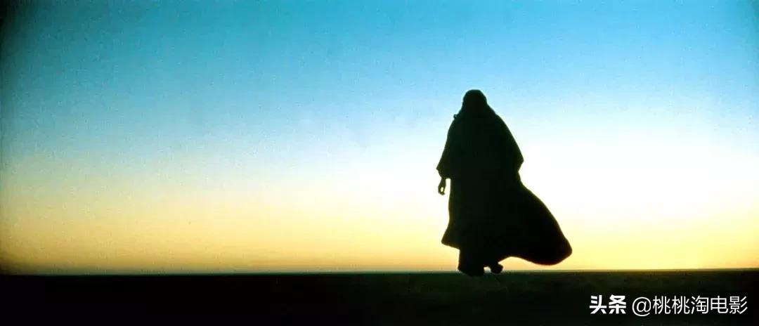 值得一看的一百部电影,重温经典100部电影