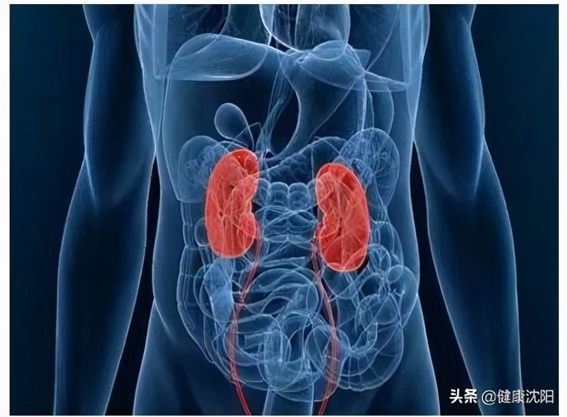 老年尿路感染健康科普,泌尿道感染健康科普