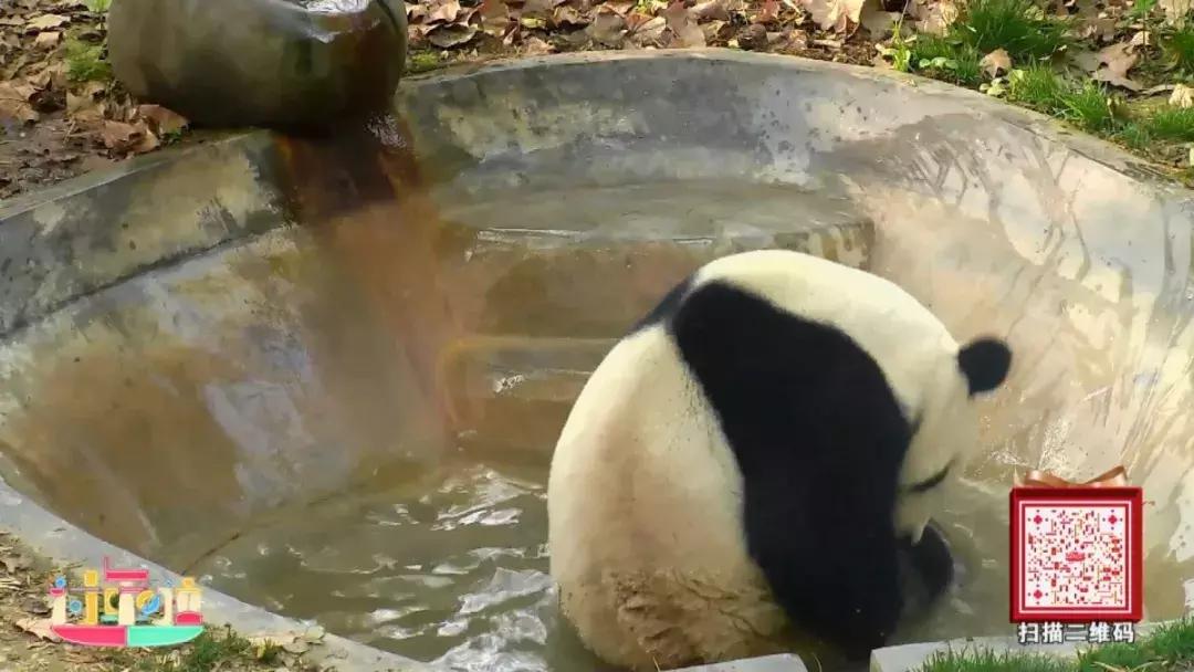 鞠萍姐姐走进三门核电,鞠萍姐姐谍影重重