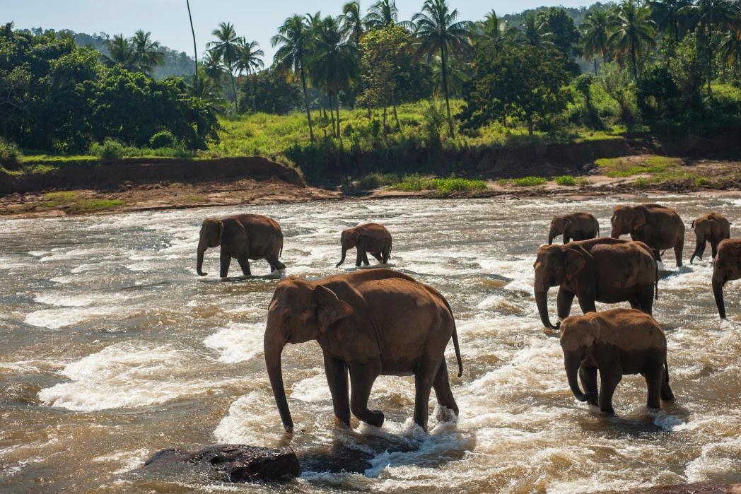 印度自驾游出行攻略,印度自驾游全攻略