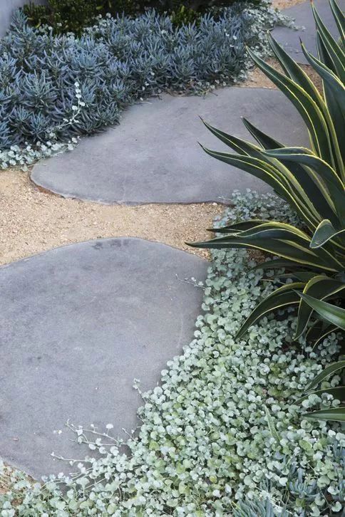 庭院小径设计方案,4招教你打造有档次的庭院