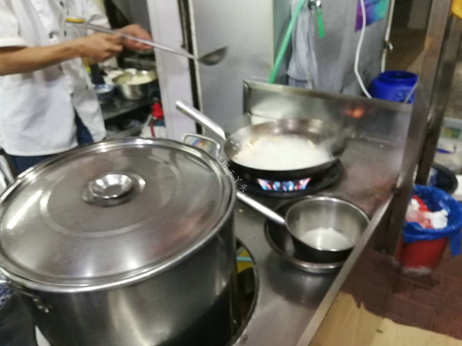 广州游客来潮汕吃白粥小品大全,游客品尝潮州鱼饭