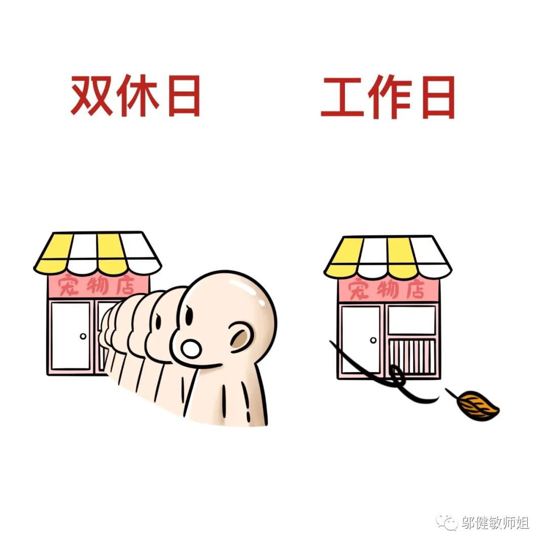 开宠物店卖宠物需要多少钱,揭秘宠物店是怎么赚钱的