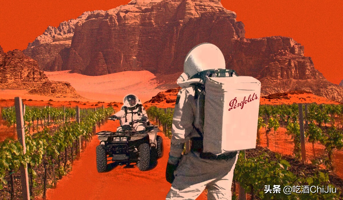 奔富8号属于什么档次,奔富8是混合的吗