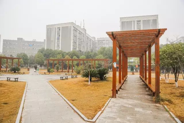 藏龙岛学校排名,藏龙岛的大学