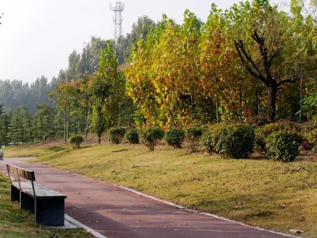 薛城未来五年发展之城南篇,薛城未来重点发展的片区