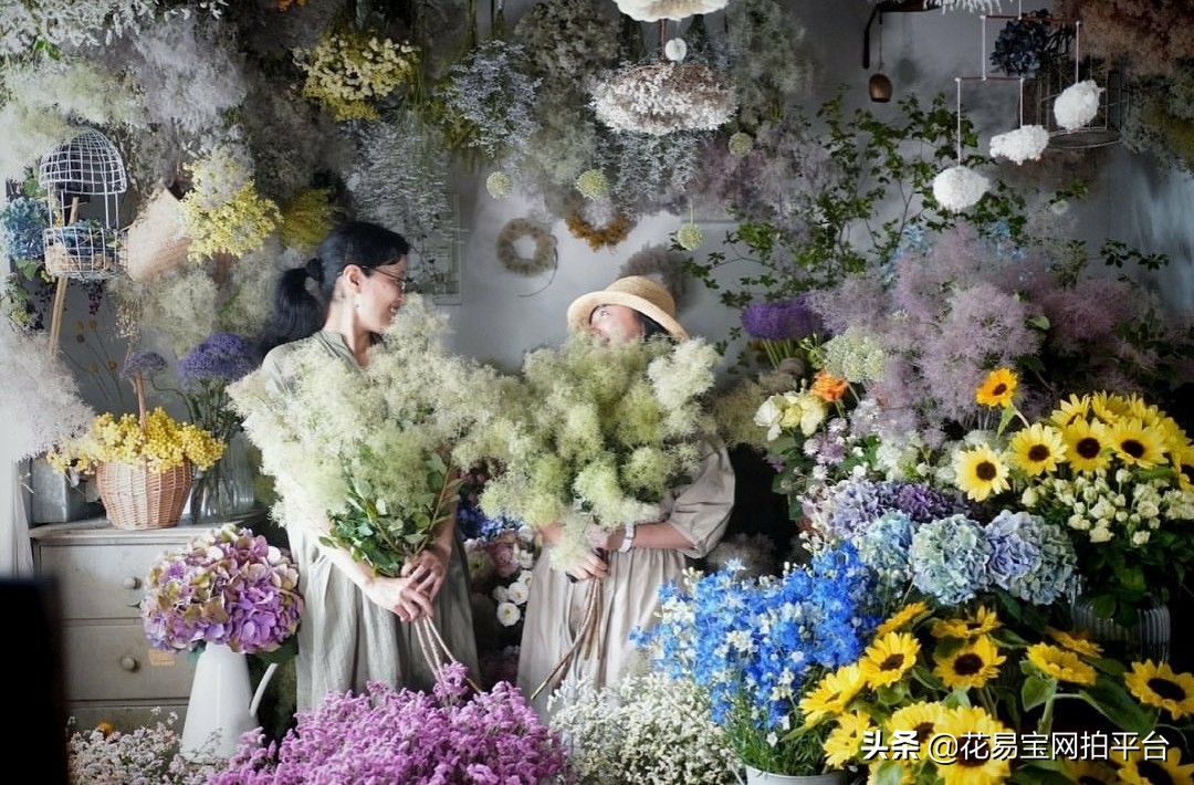 花店如何建立供应链,开花店需要了解的花知识