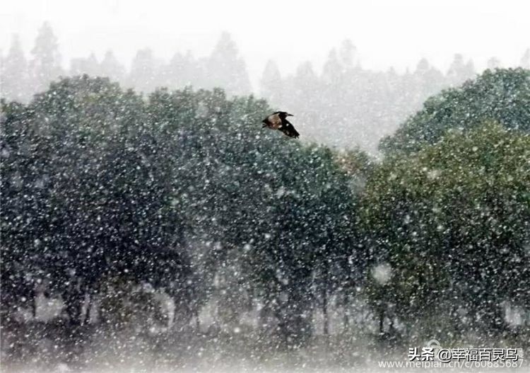 闆惤瀚g劧,闆惤瀚g劧鐩稿尮閰嶇殑缃戝悕