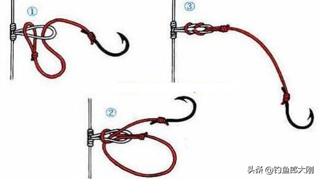 怎样辨别野生斑鱼,叉尾斑点鮰怎么钓