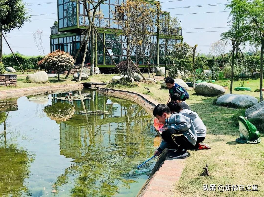 周末新都耍了一圈，朋友都以为我出了趟国