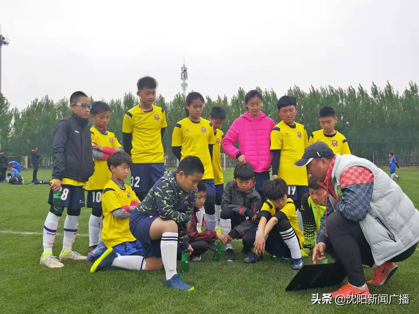 沈阳新苗杯青少年足球比赛,2023沈阳迎春杯足球