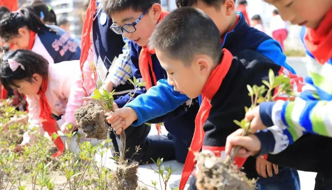 成都有哪些学校不上网课,成都校风差的学校