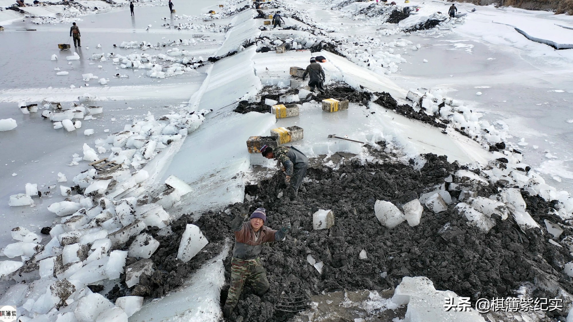 挖竹节蛏挣钱,赶海抓蛏子一天能赚多少钱