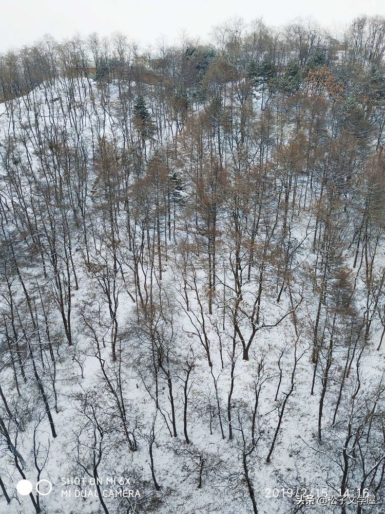 集结号里诗画情之一,瑞雪兆丰年