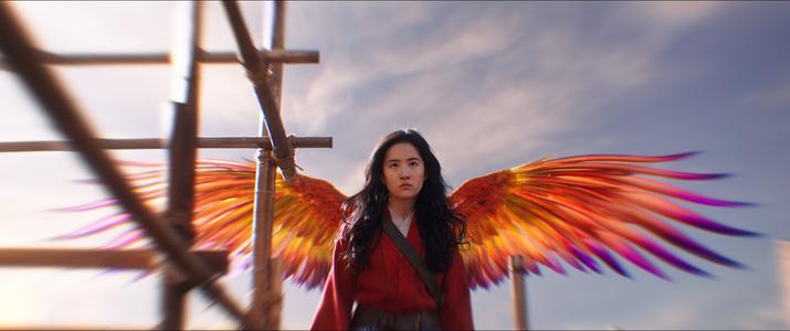 好莱坞的烂片,好莱坞俗套大吐槽纪录片