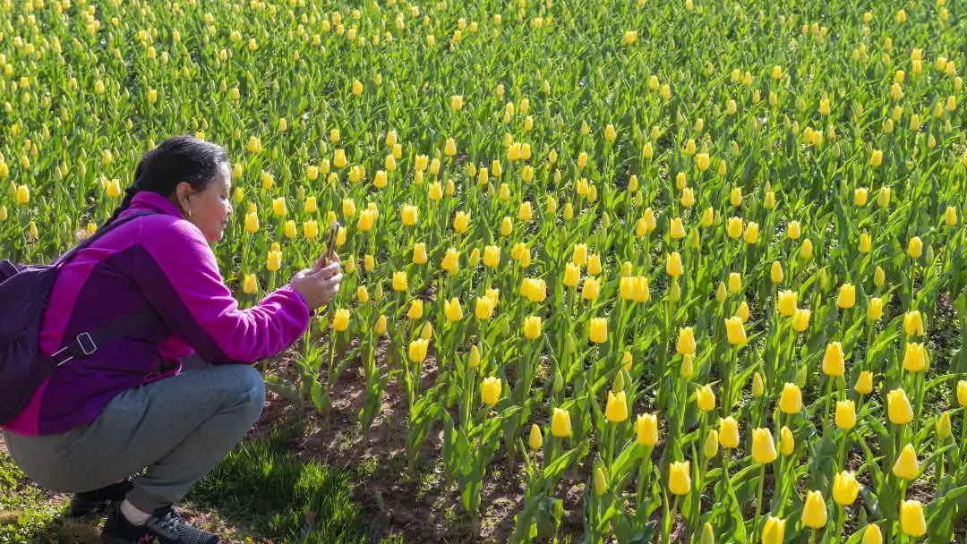 邛海湿地公园旅游攻略路线,西昌邛海住民宿攻略