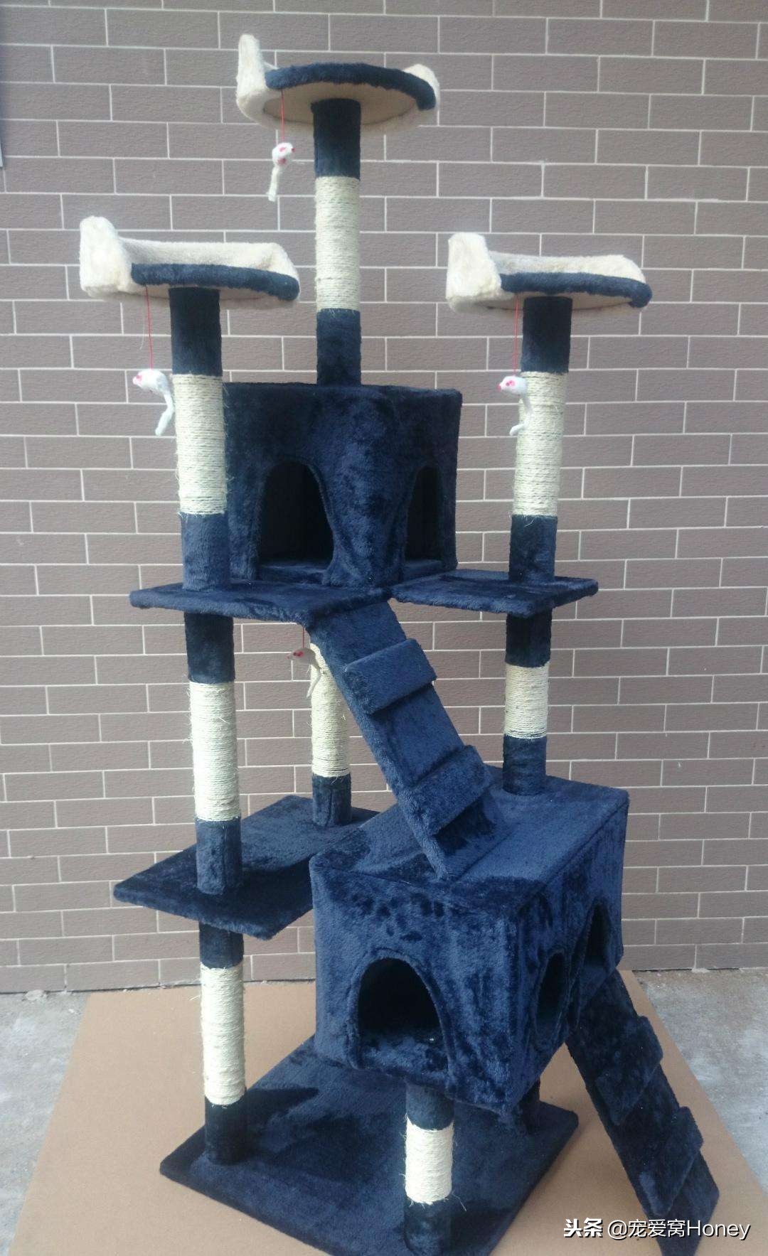 木质家具被猫咪抓了怎么修复,实木家具被猫抓坏了怎么修补