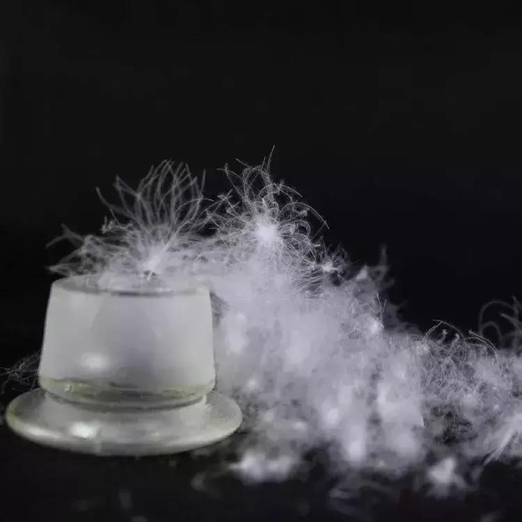 广东的羽绒服怎么穿保暖,在广州冬天穿什么羽绒服最合适