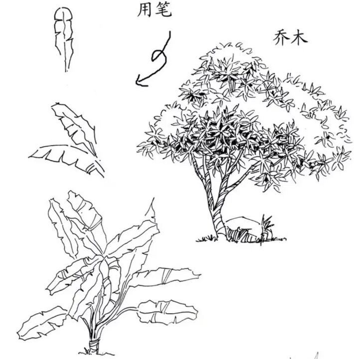 入门风景速写1000例临摹图,风景速写教你超简单的树木画法