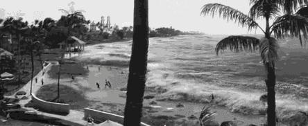 海的力量,感恩海的力量