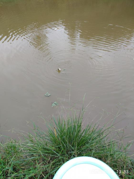 本汀宗师有限量版吗,本汀太极宗师黑坑竿