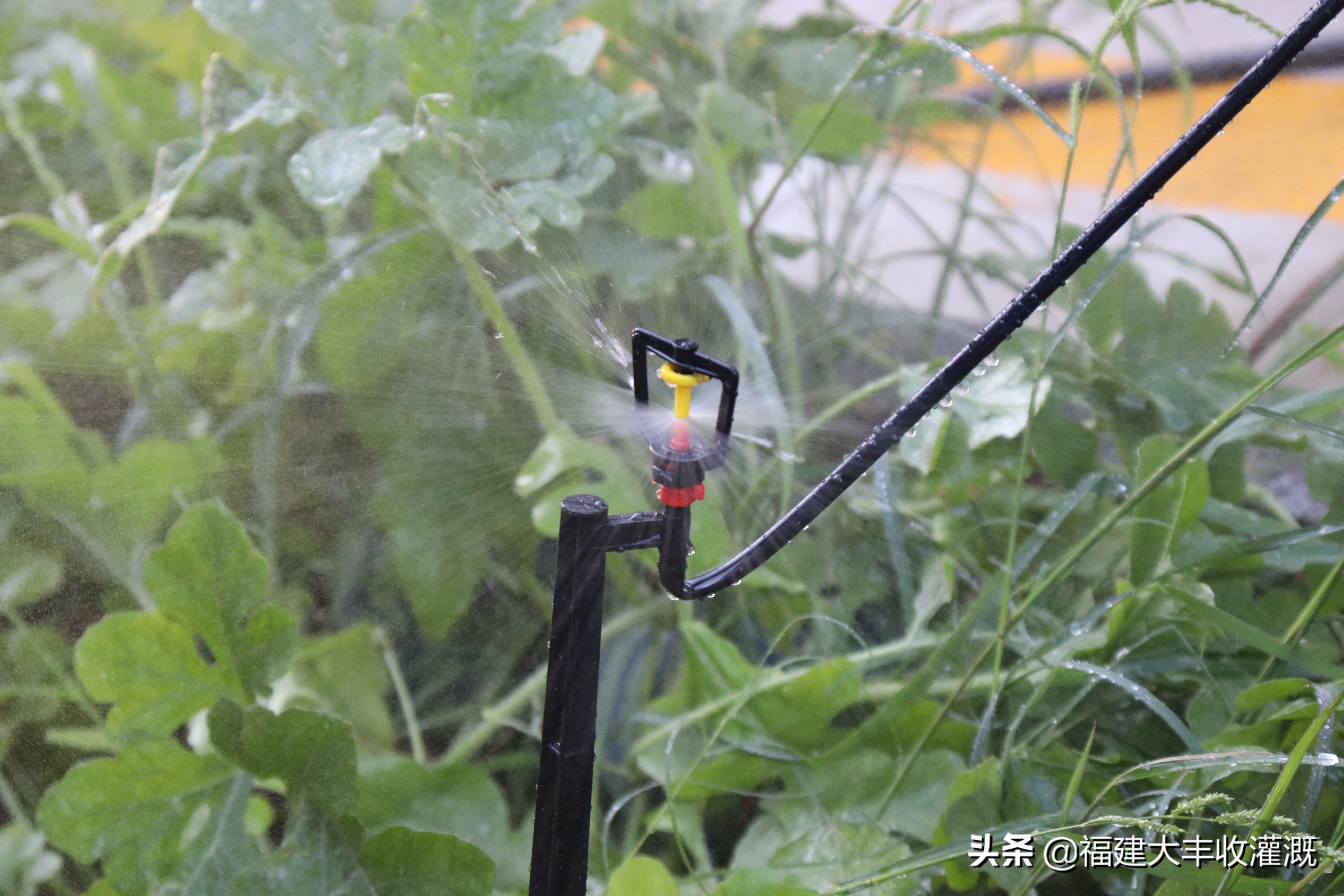 田间灌溉喷灌喷头,滴灌和喷灌微喷头