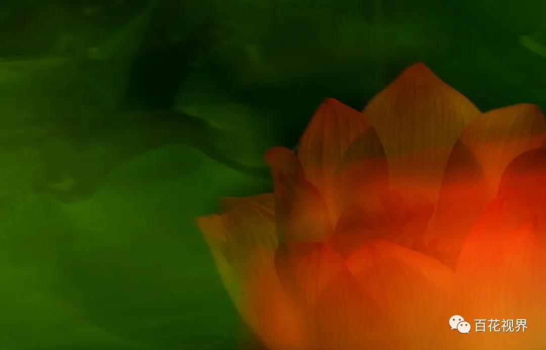 邯郸市女性摄影家,邯郸市女子摄影协会