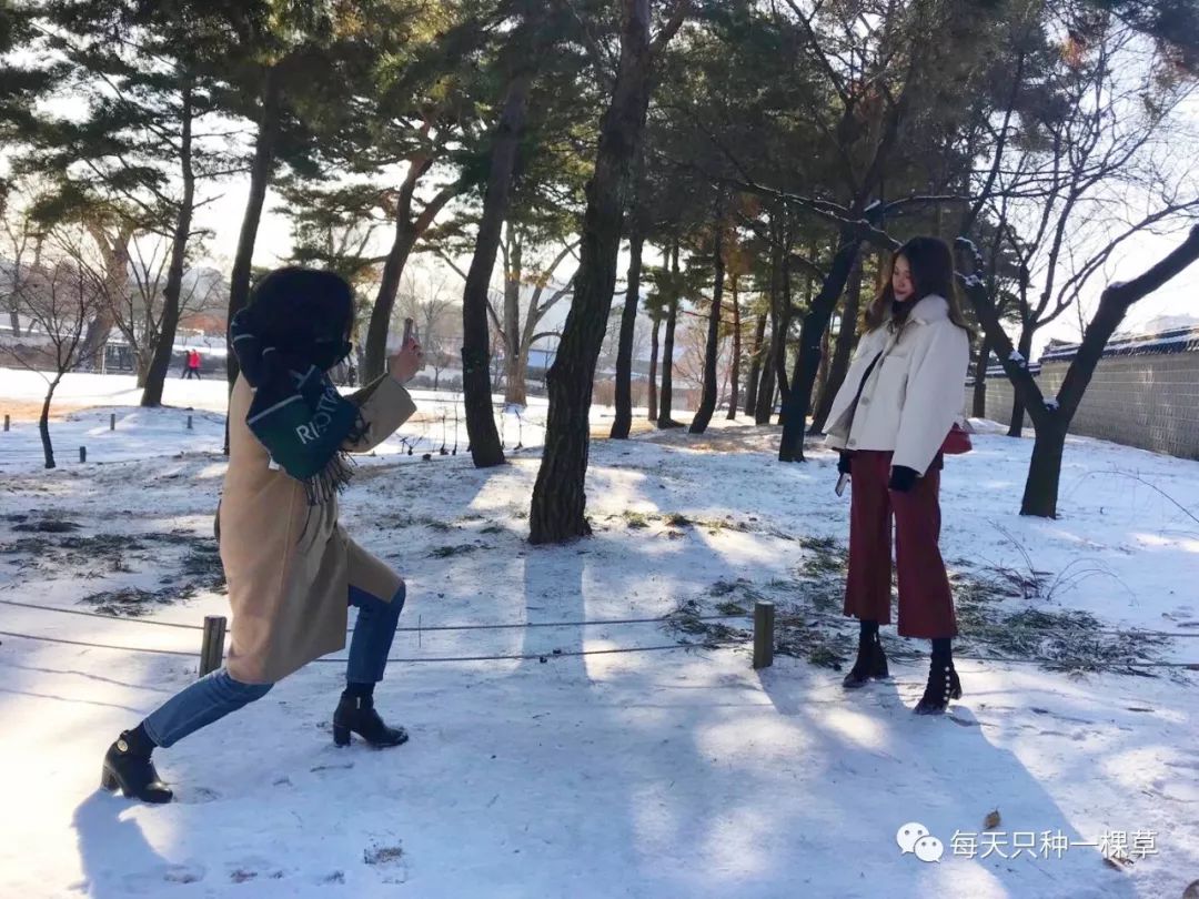 日常打卡口红推荐,30天口红打卡