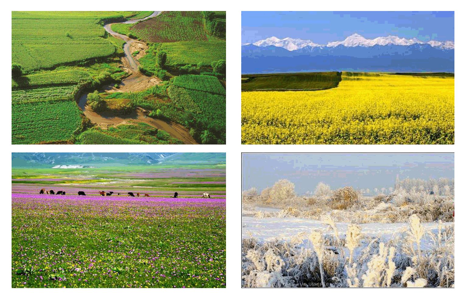 分析伊犁河谷成为塞外江南的原因,为什么伊犁河谷有塞尚江南之称