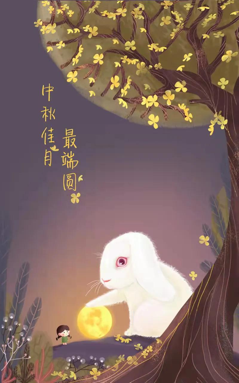 那些你所不知道的童话故事日漫,那些你不知道的故事钢琴