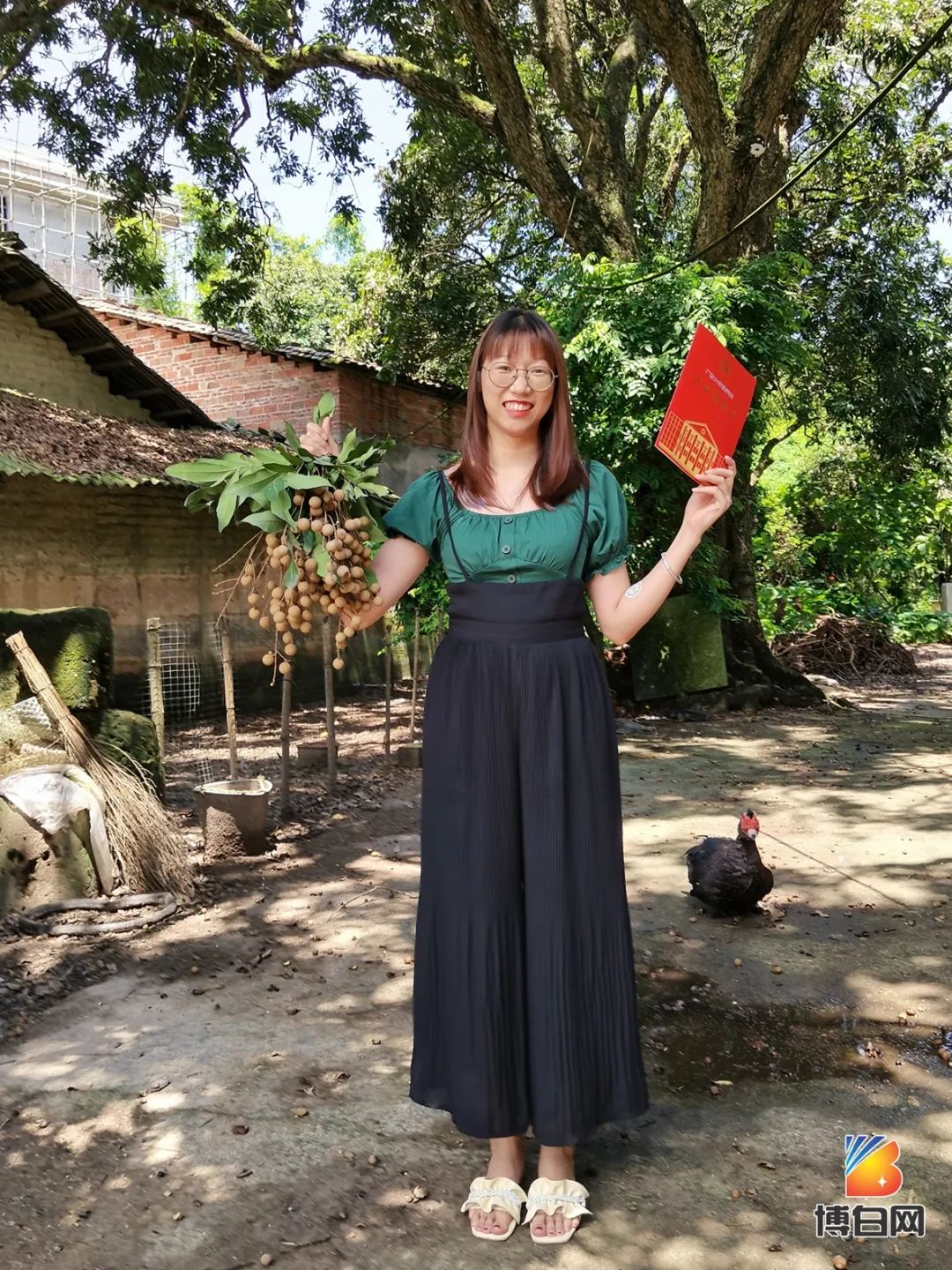 活久见！快成精了？博白发现明朝古树，至今600多年