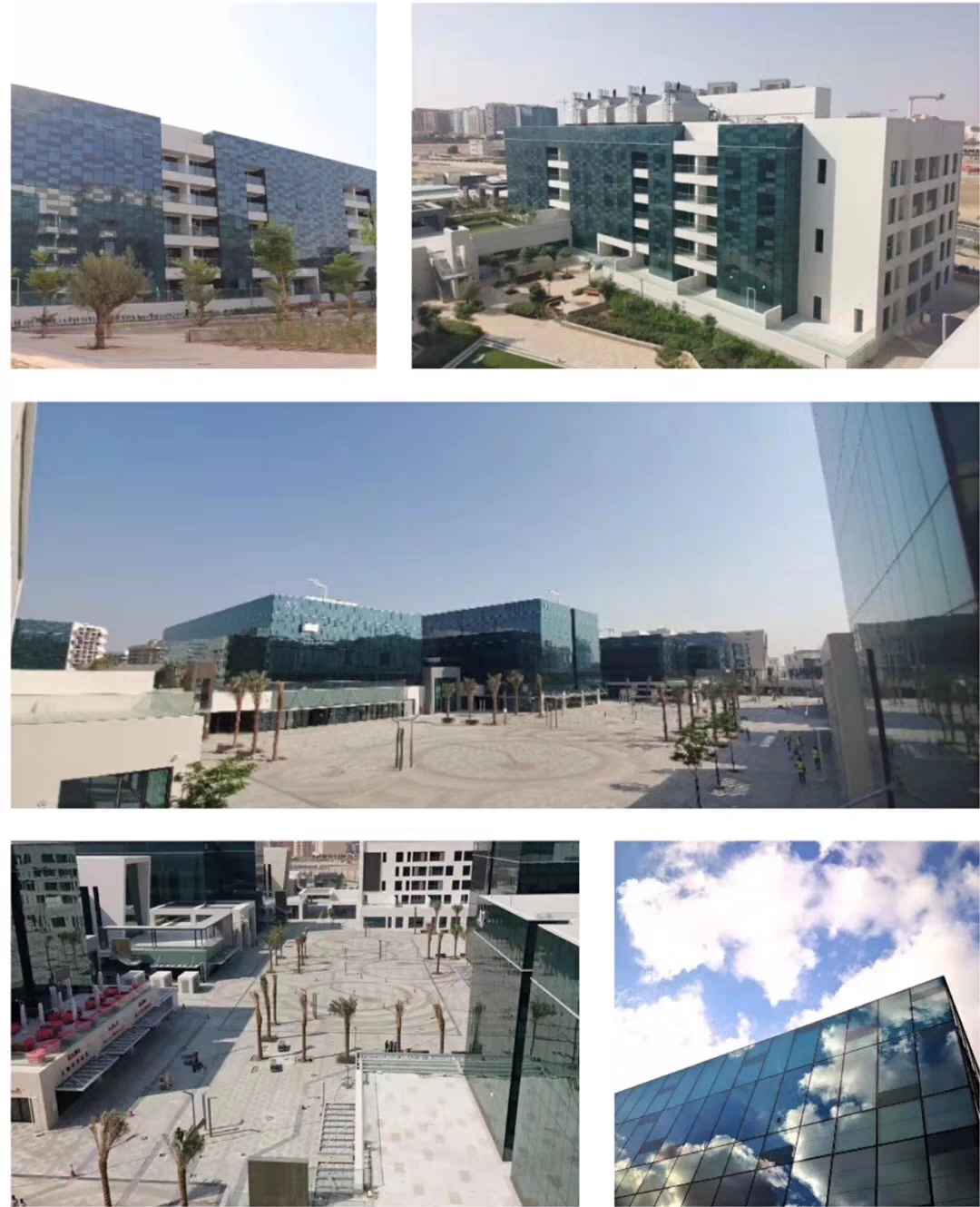 中国人去阿联酋做什么工作,80后小伙在埃及开罗