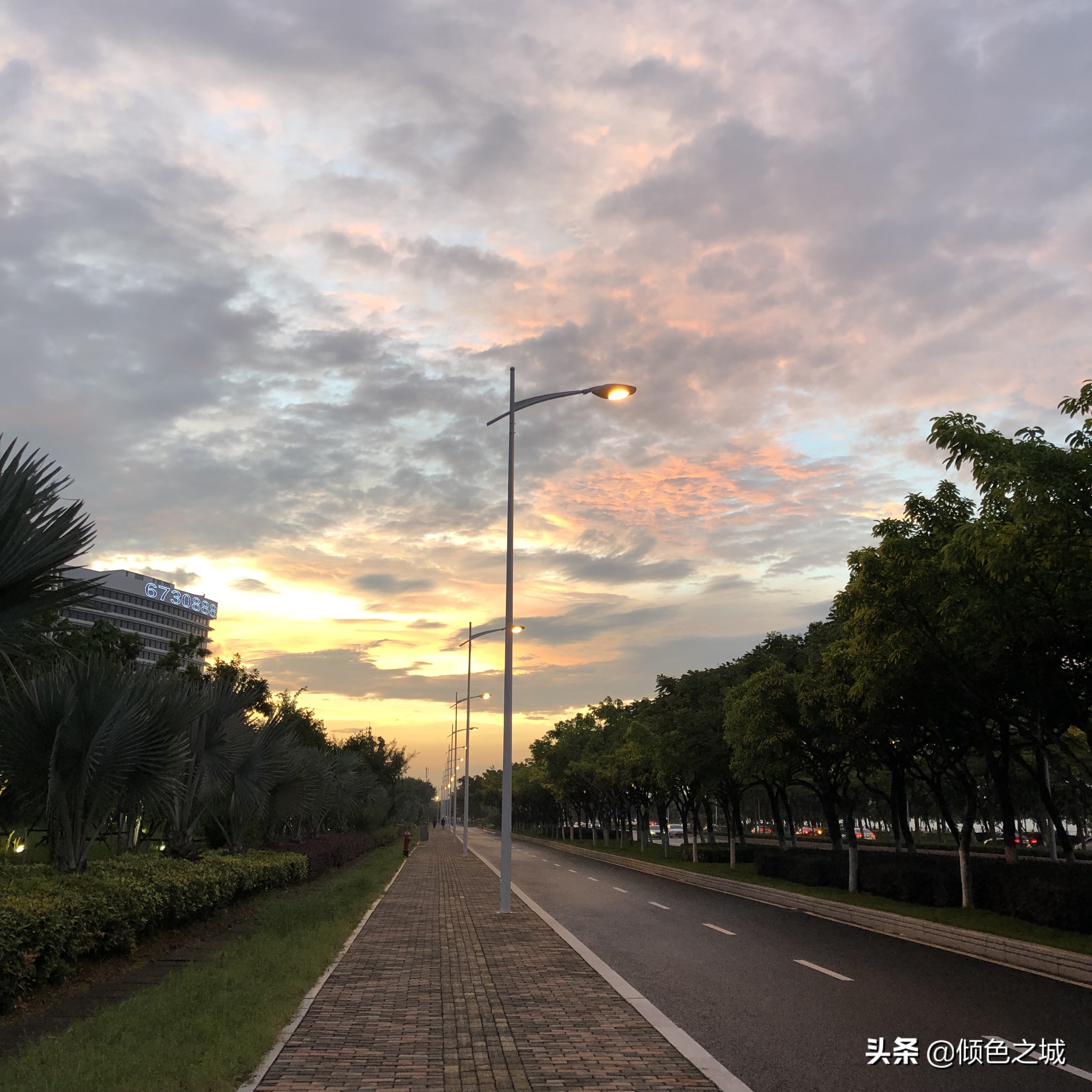 厦门希尔顿逸林酒店攻略,厦门希尔顿无敌海景