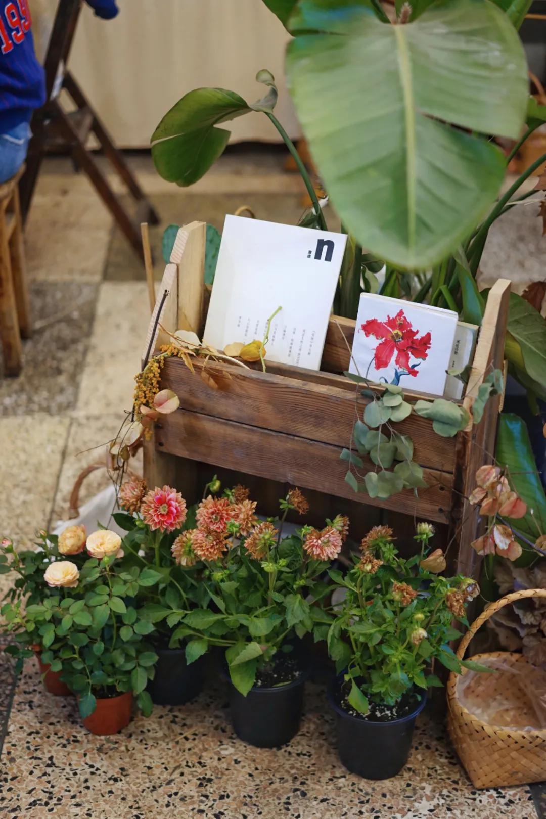 成都两个小姑娘开的老房子花艺杂货铺，外地游客不远千里专程打卡