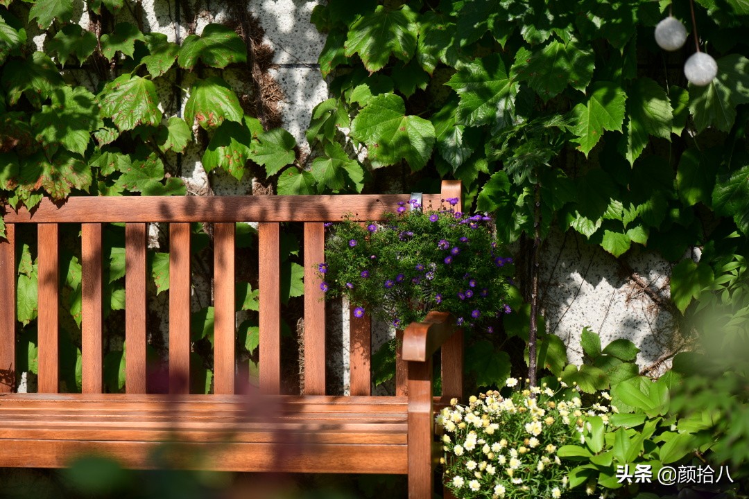 愿时光静止,愿时光静止在这一刻