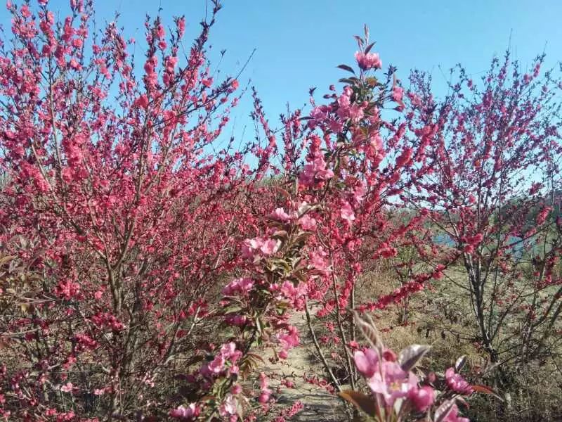 上善若水散文诗原文,上善若水整首诗翻译