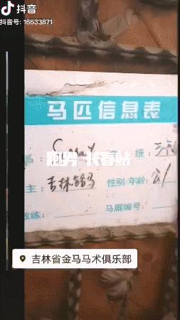 直播跑男长春在线观看,跑男探班直播