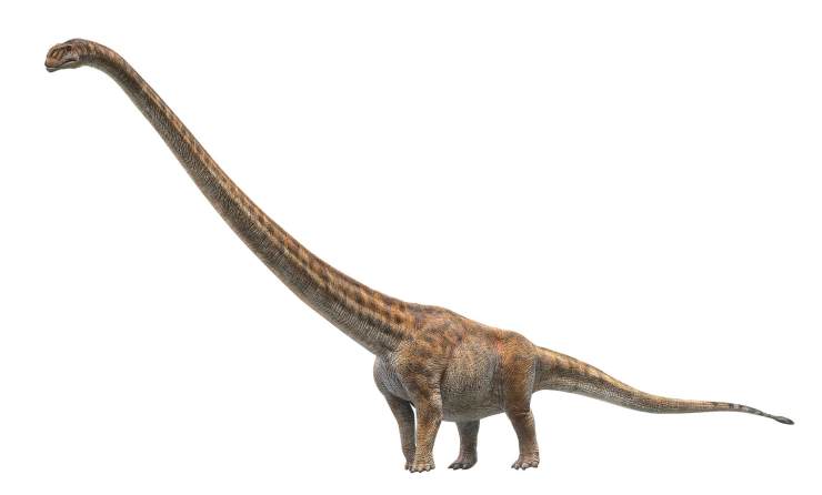 霸主恐龙有多厉害,史前时代恐龙有多大