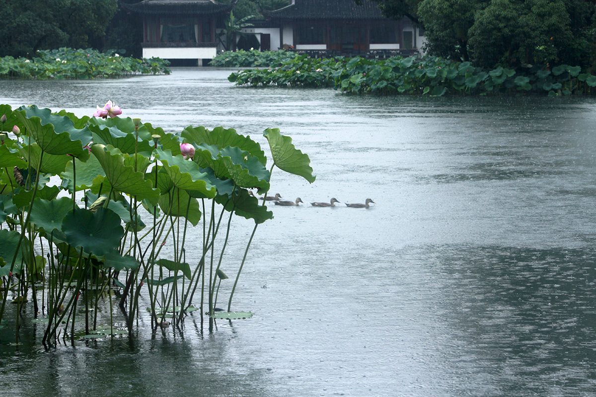 浅谈古代室内的那一抹绿意