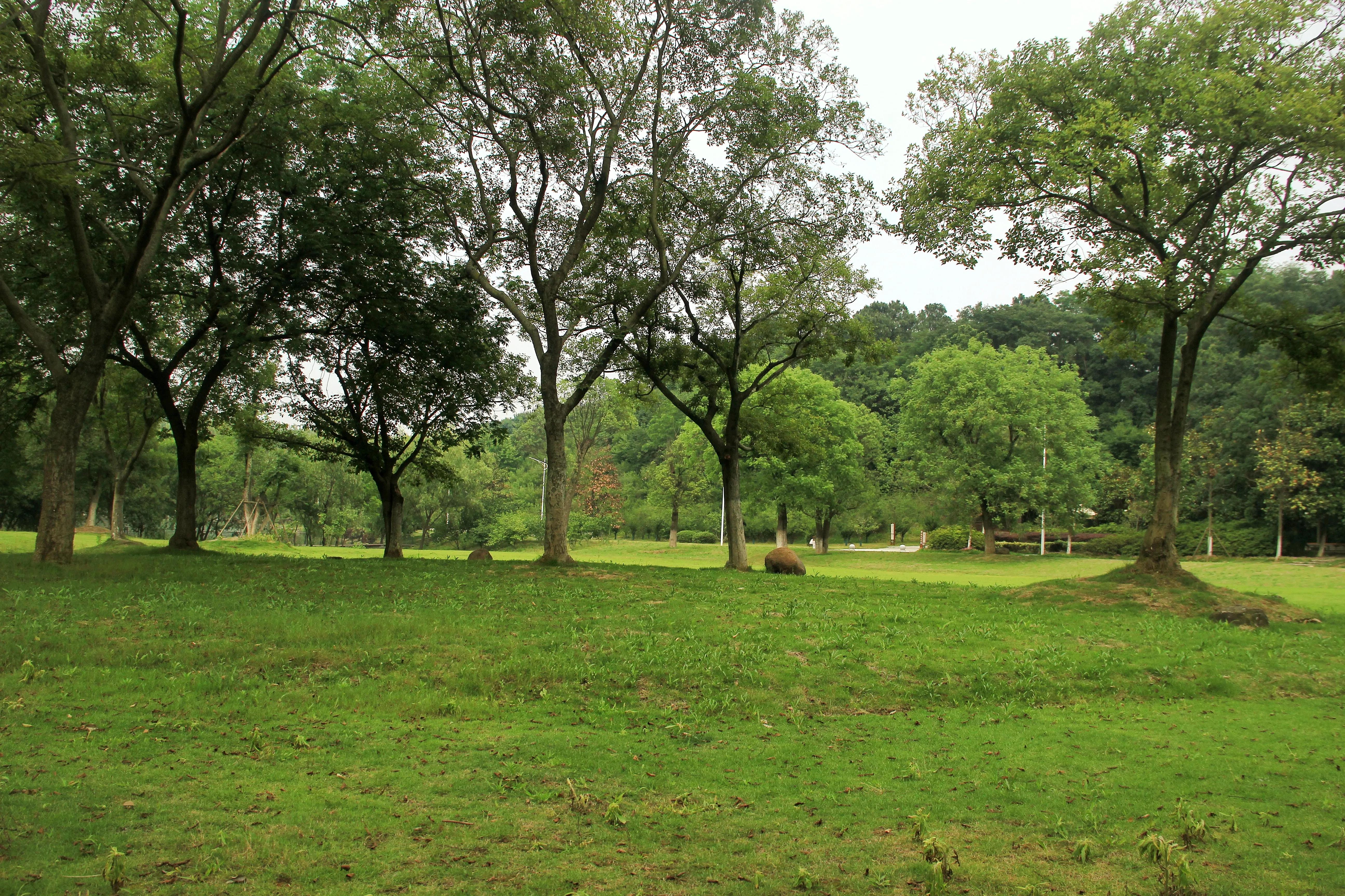 南京珍珠泉门票,南京珍珠泉野生动物园
